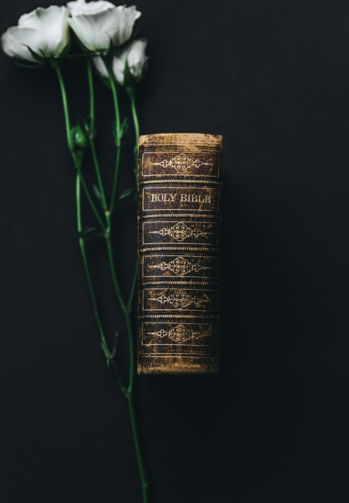 holy-bible-beside-white-rose.jpg Holy Bible beside white rose